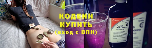 прущая мука Вяземский