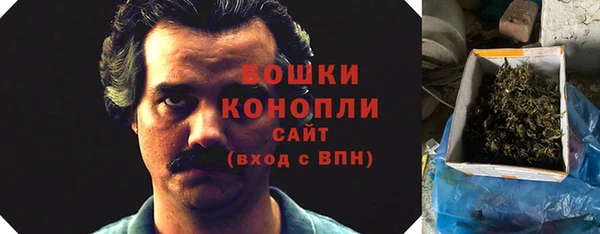 прущая мука Вяземский