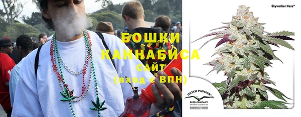 прущая мука Вяземский