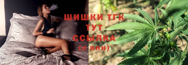 прущая мука Вяземский