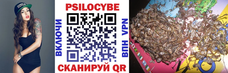 Галлюциногенные грибы Magic Shrooms  Купить  Хилок 